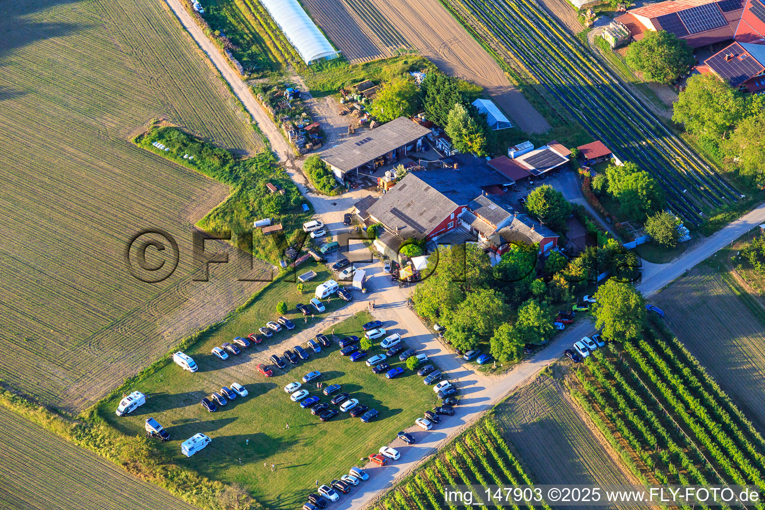 Restaurant Gerhart's Strauße im Ortsteil Jechtingen in Sasbach am Kaiserstuhl im Bundesland Baden-Württemberg, Deutschland