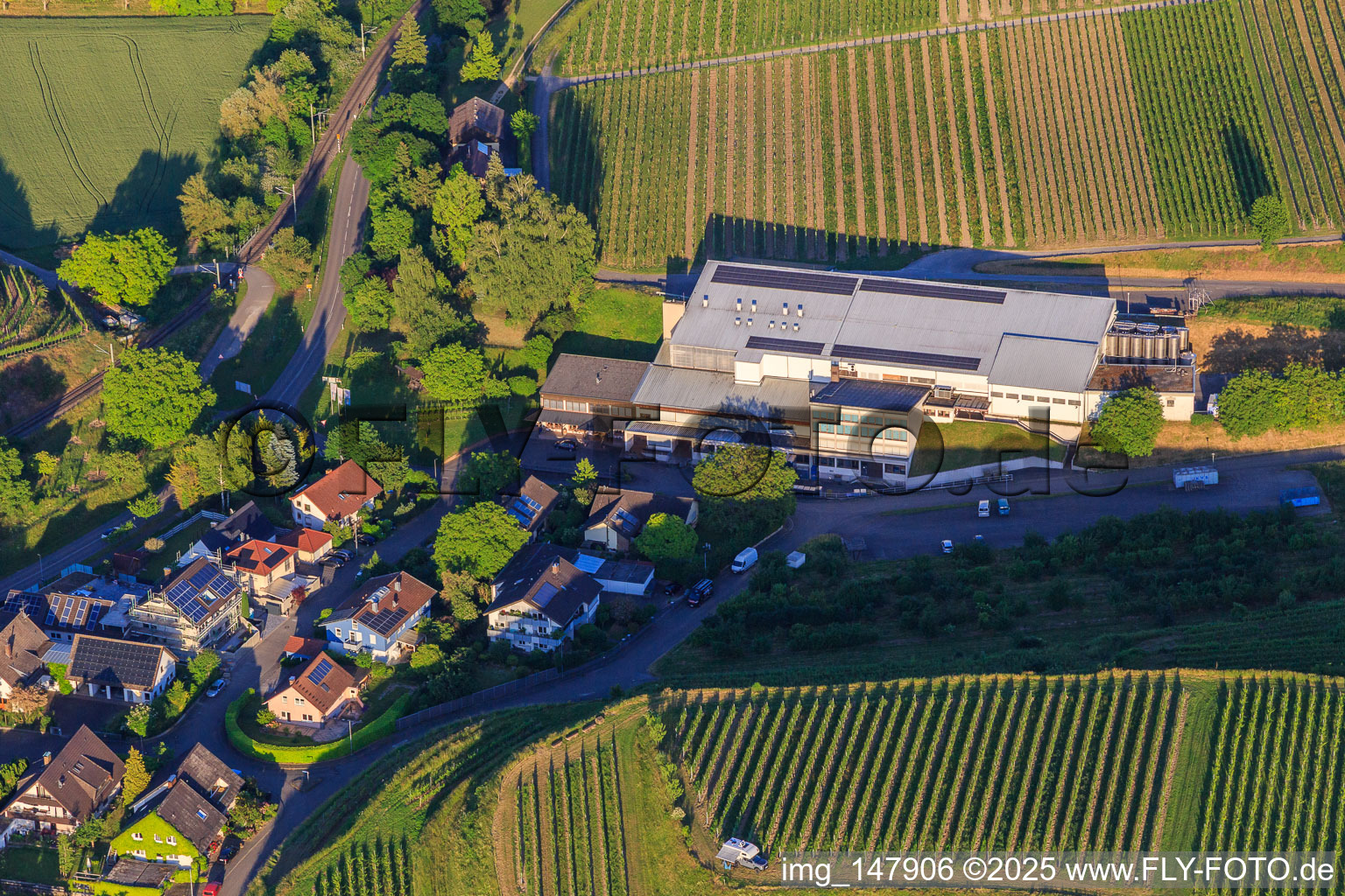 Jechtinger Weinmanufaktur eG im Ortsteil Jechtingen in Sasbach am Kaiserstuhl im Bundesland Baden-Württemberg, Deutschland