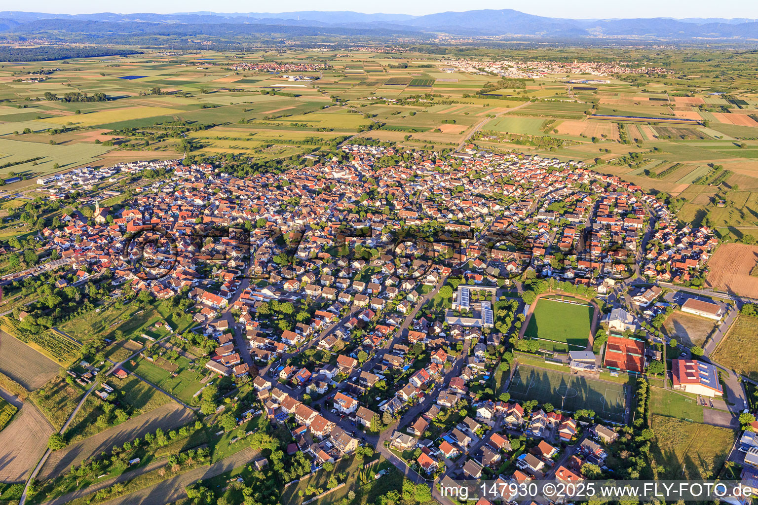 Ortsansicht aus Westen in Wyhl am Kaiserstuhl im Bundesland Baden-Württemberg, Deutschland
