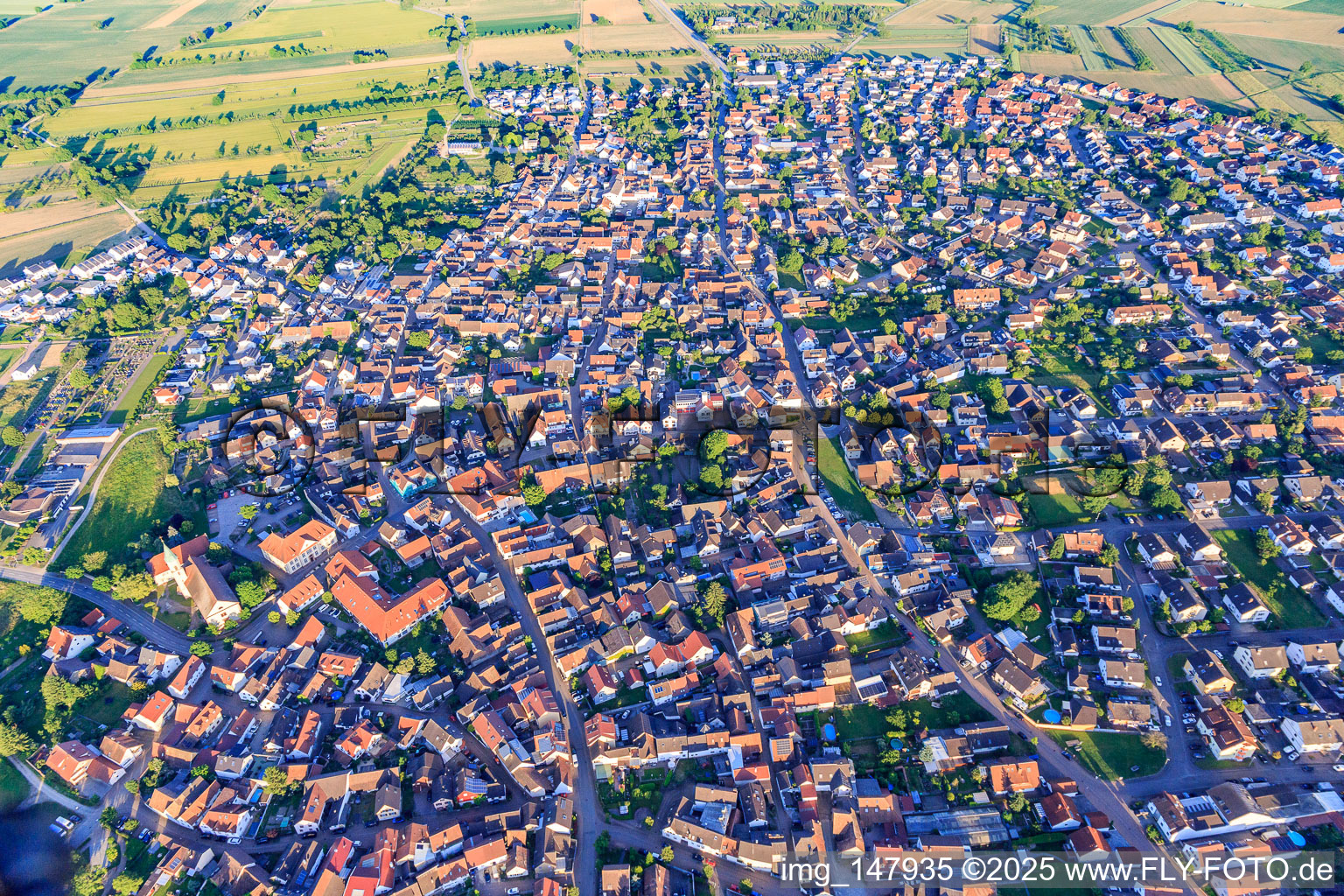 Ortsübersicht aus Nordwesten in Wyhl am Kaiserstuhl im Bundesland Baden-Württemberg, Deutschland