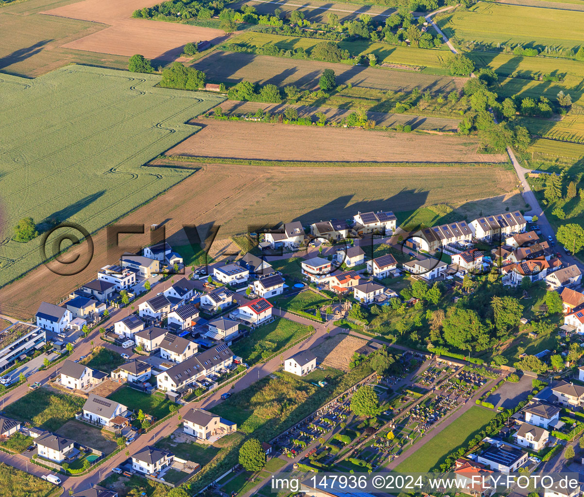 Neubaugebiet Wellinger Straße in Wyhl am Kaiserstuhl im Bundesland Baden-Württemberg, Deutschland