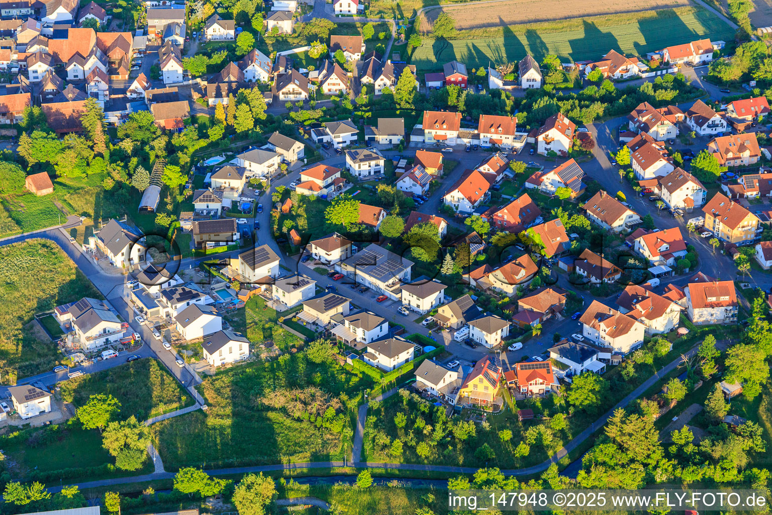Luftbild von Oberwörthstraße in Weisweil im Bundesland Baden-Württemberg, Deutschland