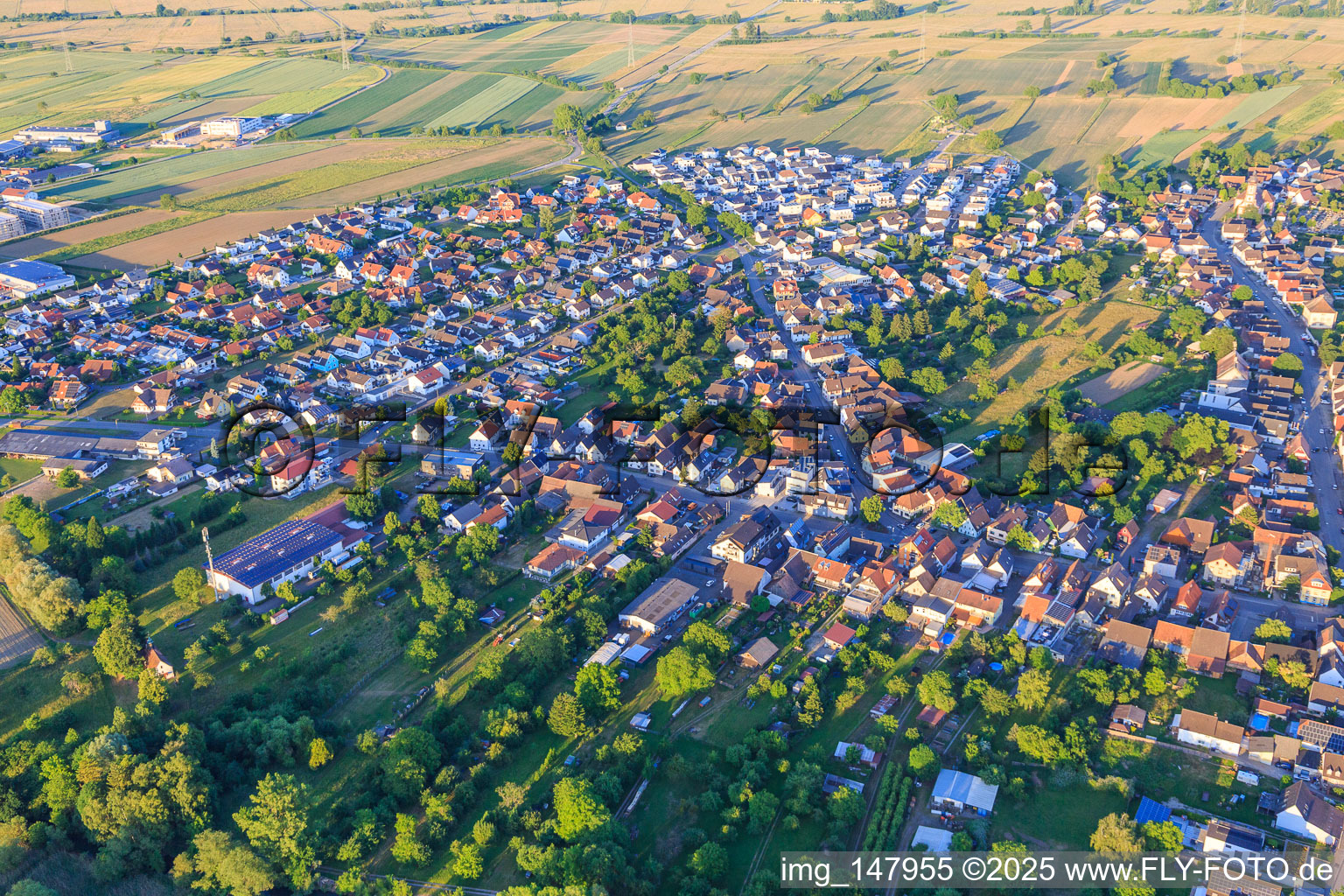 Luftaufnahme von Ortsübersicht von Westen im Ortsteil Oberhausen in Rheinhausen im Bundesland Baden-Württemberg, Deutschland