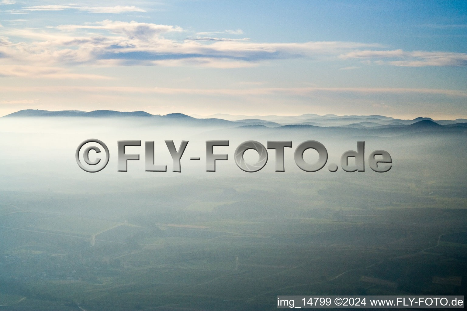 Hardt über Hergersweiler im Bundesland Rheinland-Pfalz, Deutschland