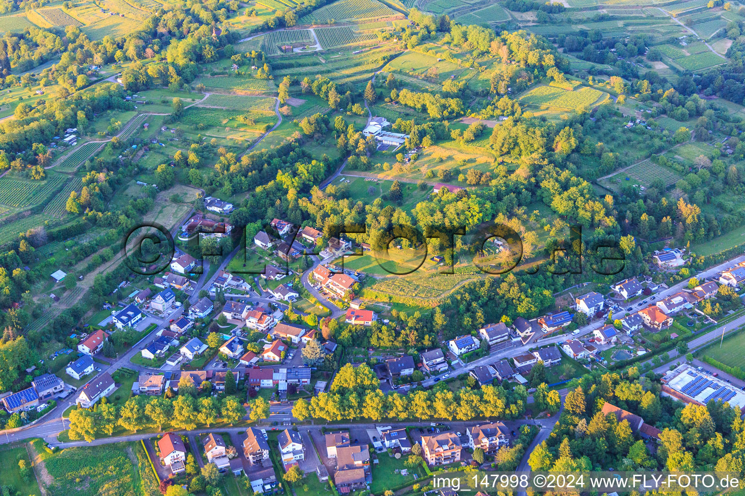 Im Häldele in Kippenheim im Bundesland Baden-Württemberg, Deutschland