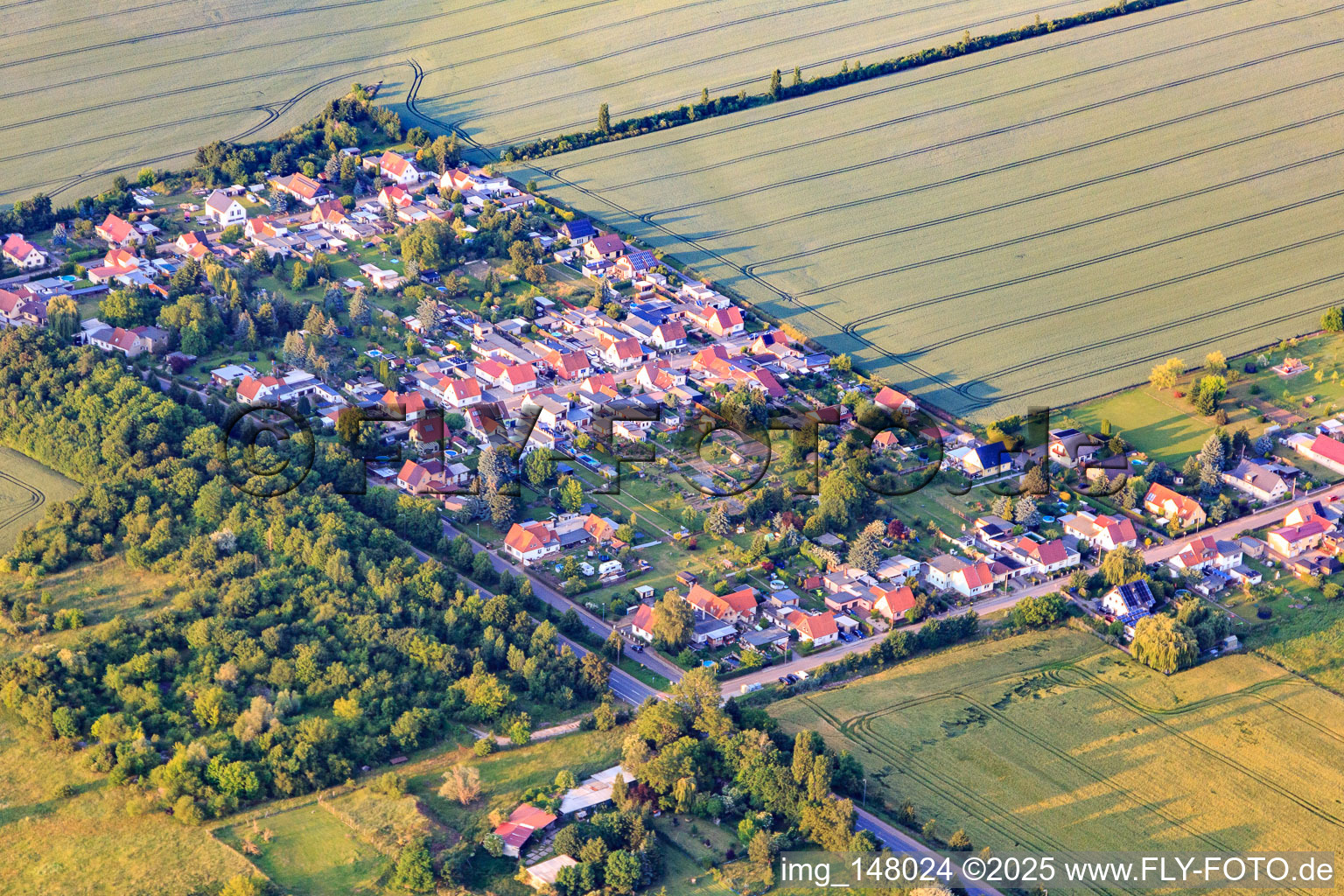 Siedlung Karl-Marx-Straße in Aschersleben im Bundesland Sachsen-Anhalt, Deutschland