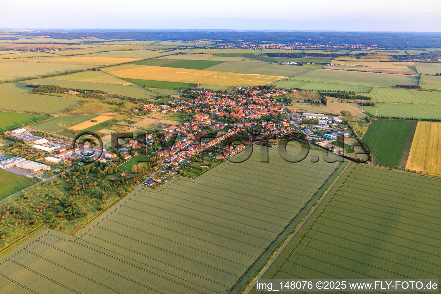 Ortsansicht aus Norden im Ortsteil Badeborn in Ballenstedt im Bundesland Sachsen-Anhalt, Deutschland