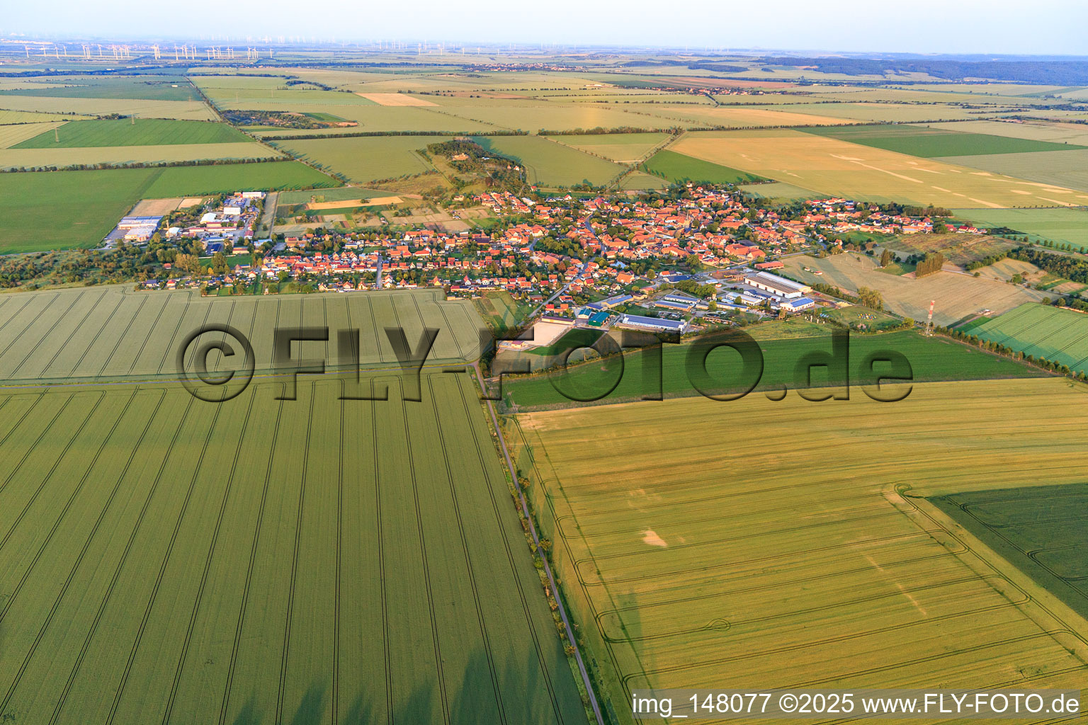 Ortsansicht aus Nordwesten im Ortsteil Badeborn in Ballenstedt im Bundesland Sachsen-Anhalt, Deutschland
