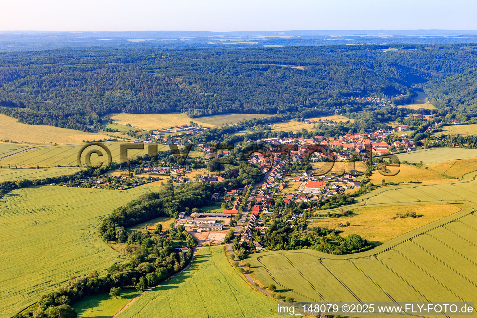 Dorfansicht aus Norden im Ortsteil Meisdorf in Falkenstein im Bundesland Sachsen-Anhalt, Deutschland