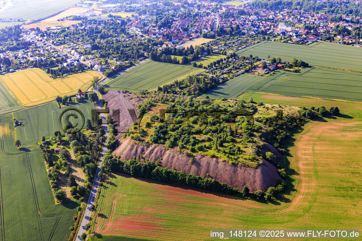 Am Theodorschacht mit renaturierter,. flacherAbraumhalde in Klostermansfeld im Bundesland Sachsen-Anhalt, Deutschland