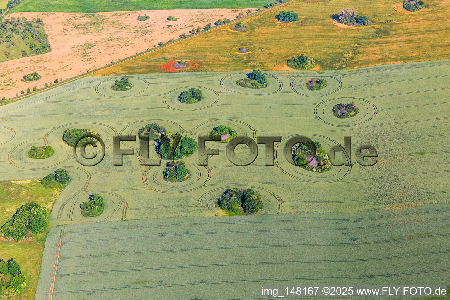 Eiszeitliche Kameshügel bilden unbewirtschaftbare Lücken auf den Feldern im Ortsteil Arnstedt in Arnstein im Bundesland Sachsen-Anhalt, Deutschland