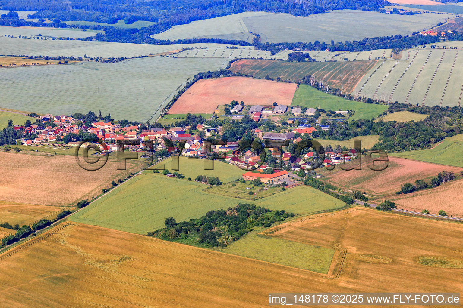 Dorfansicht aus Osten im Ortsteil Endorf in Falkenstein im Bundesland Sachsen-Anhalt, Deutschland