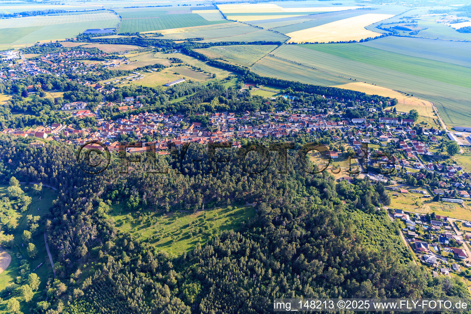 Ortsansicht aus Süden im Ortsteil Langenstein in Halberstadt im Bundesland Sachsen-Anhalt, Deutschland