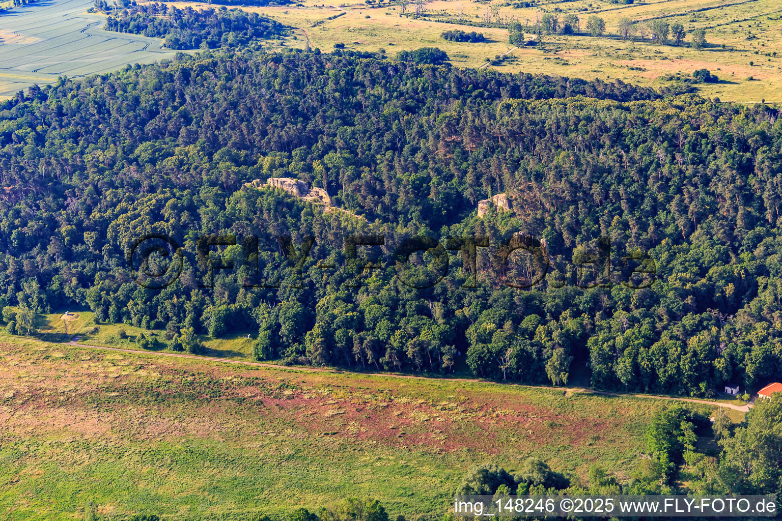 Fünffingerfelsen und Schatten der Hexen, Klusfelsen in Halberstadt im Bundesland Sachsen-Anhalt, Deutschland