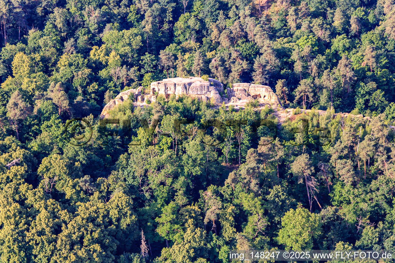 Luftbild von Fünffingerfelsen und Schatten der Hexen, Klusfelsen in Halberstadt im Bundesland Sachsen-Anhalt, Deutschland