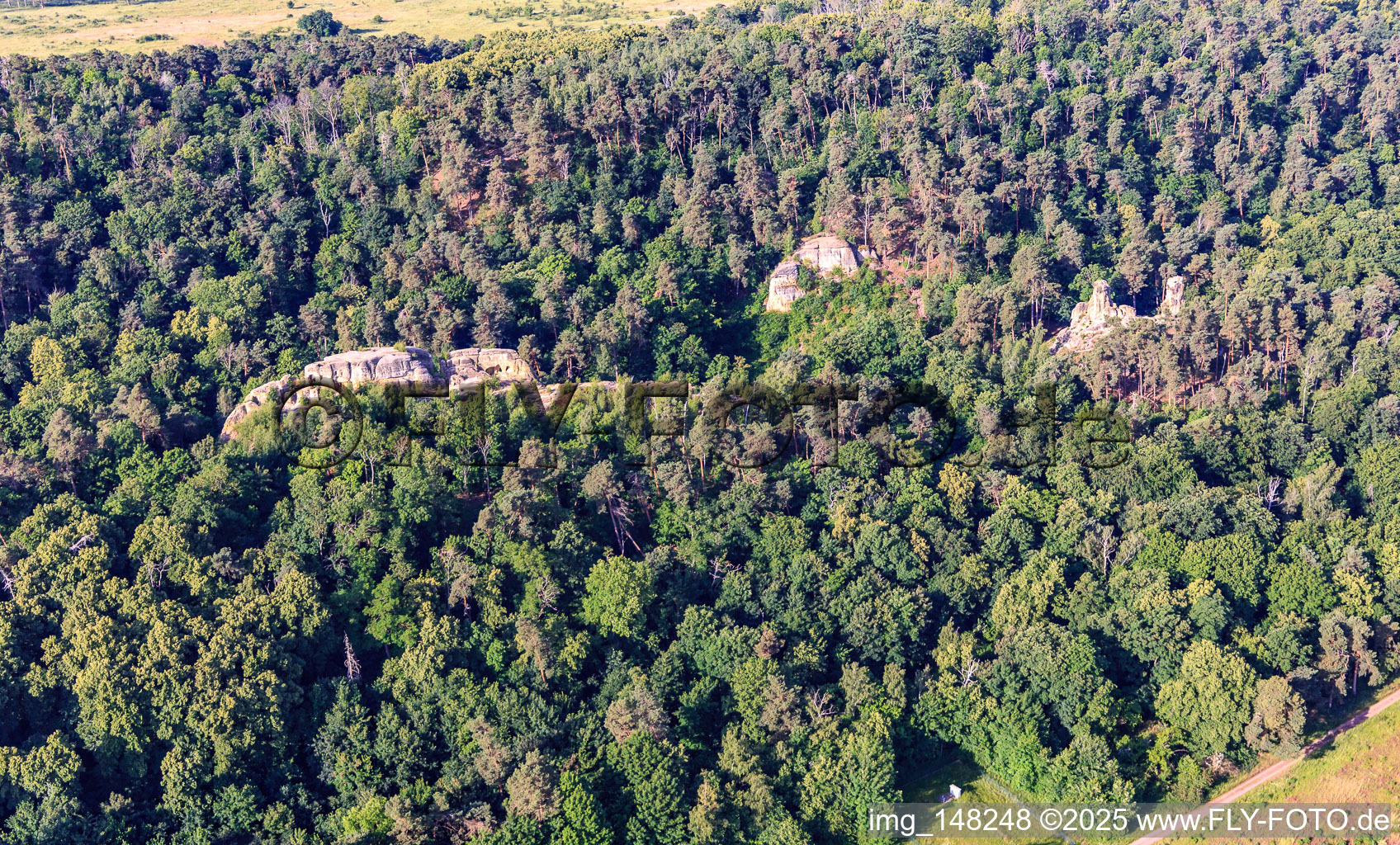 Luftaufnahme von Fünffingerfelsen und Schatten der Hexen, Klusfelsen in Halberstadt im Bundesland Sachsen-Anhalt, Deutschland