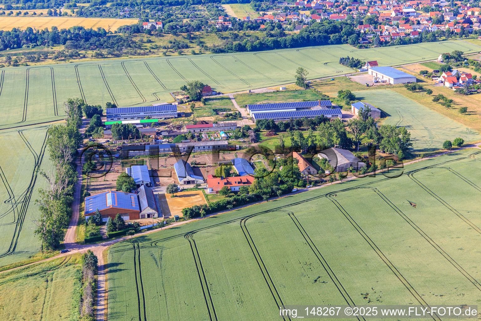 Buchenhof Ballenstedt im Ortsteil Rieder im Bundesland Sachsen-Anhalt, Deutschland