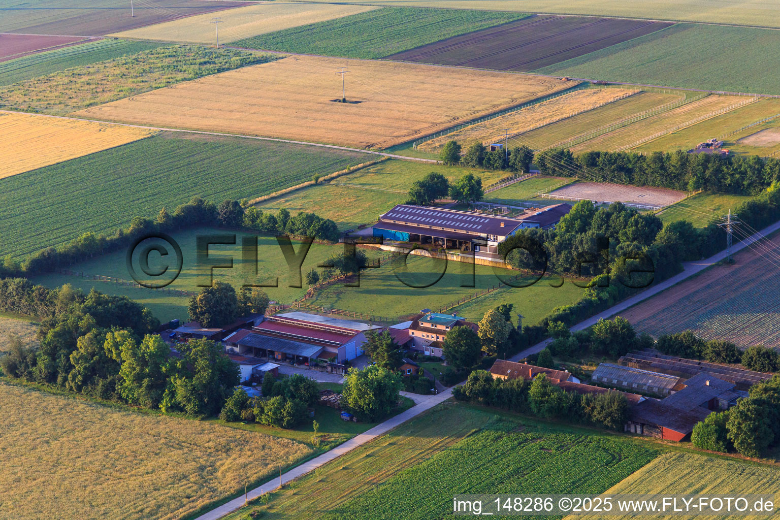 Rosenhof, Gärtnerhof und Reitanlage des  Eichenhof Seither in Ottersheim bei Landau im Bundesland Rheinland-Pfalz, Deutschland