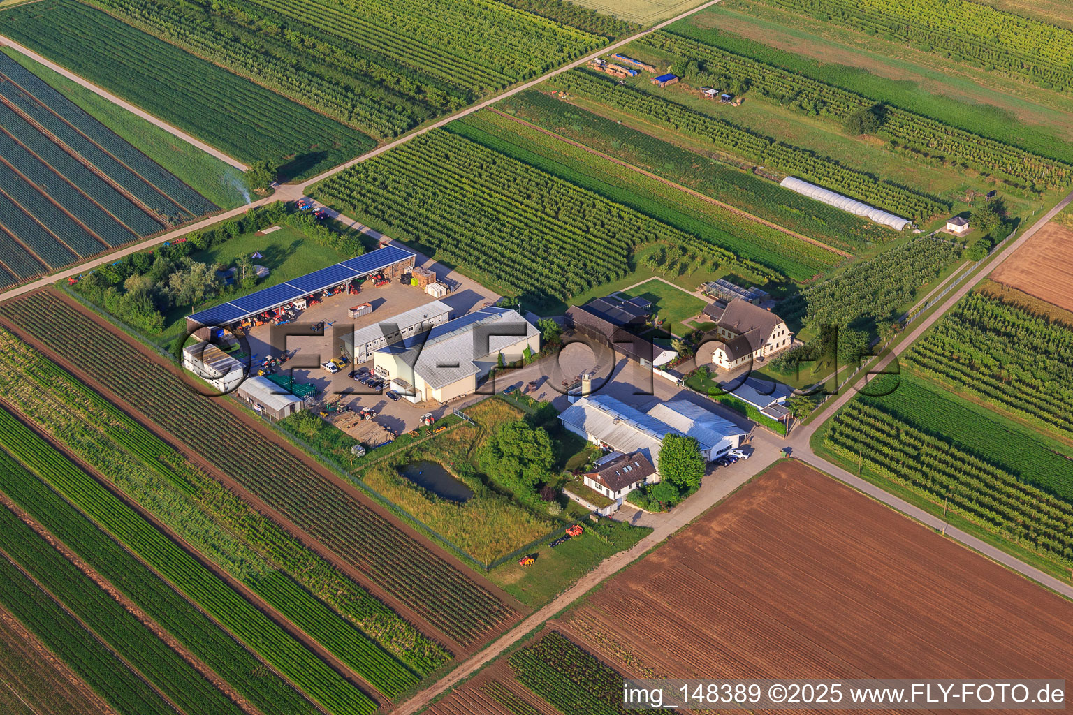 Bauers Garten in Winden im Bundesland Rheinland-Pfalz, Deutschland aus der Drohnenperspektive