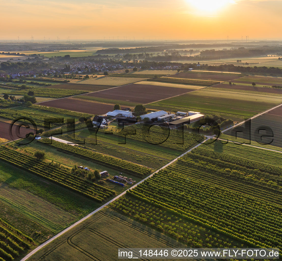 Bauers Garten in Winden im Bundesland Rheinland-Pfalz, Deutschland von einer Drohne aus