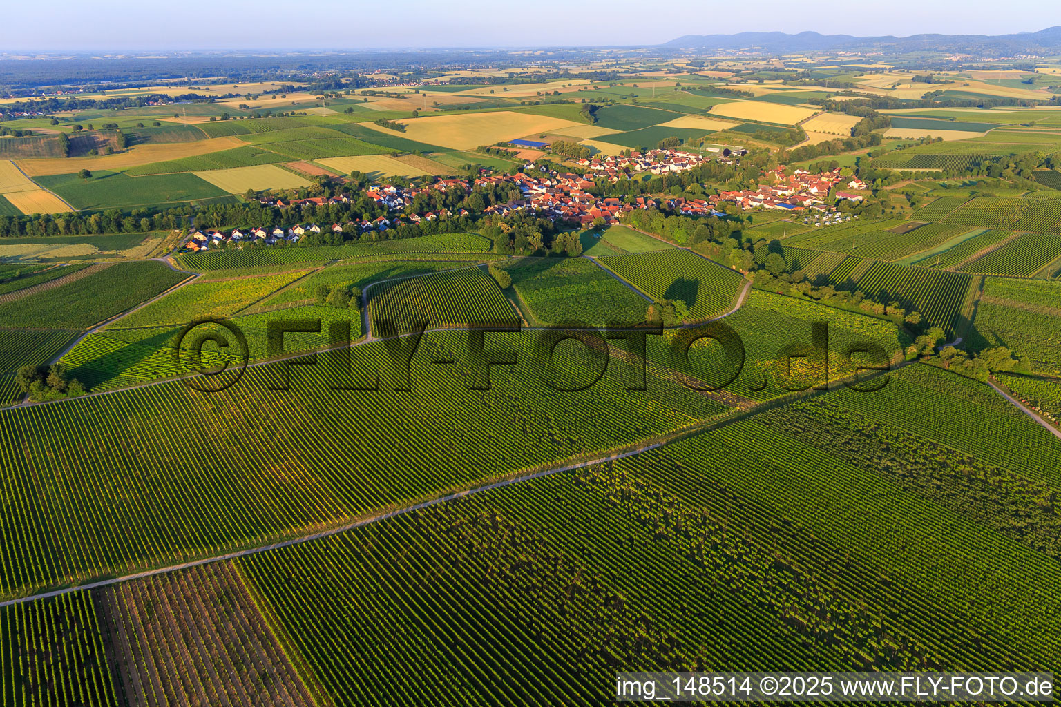 Dorfansicht am Morgen aus Nordosten in Dierbach im Bundesland Rheinland-Pfalz, Deutschland