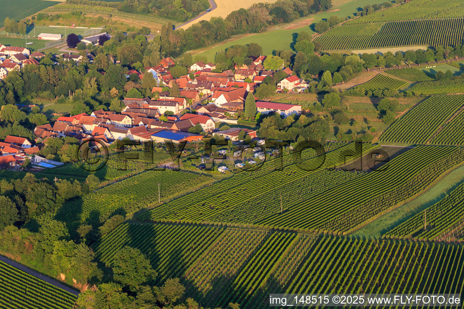 Dorfansicht am Morgen aus Norden mit Wohnmobilstellplatz des Weinhaus Geiger in Dierbach im Bundesland Rheinland-Pfalz, Deutschland
