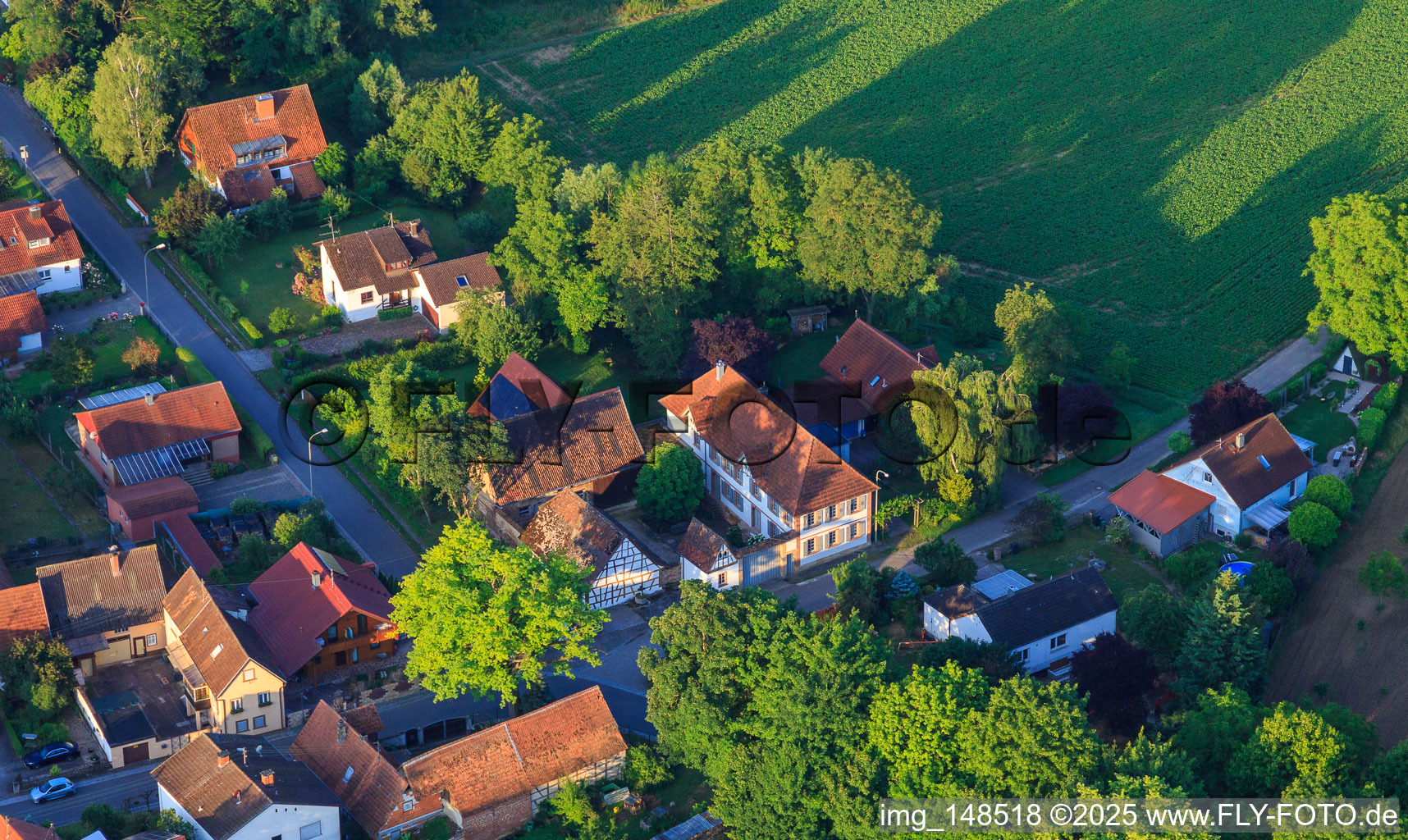 Villa an der Hauptstr in Dierbach im Bundesland Rheinland-Pfalz, Deutschland