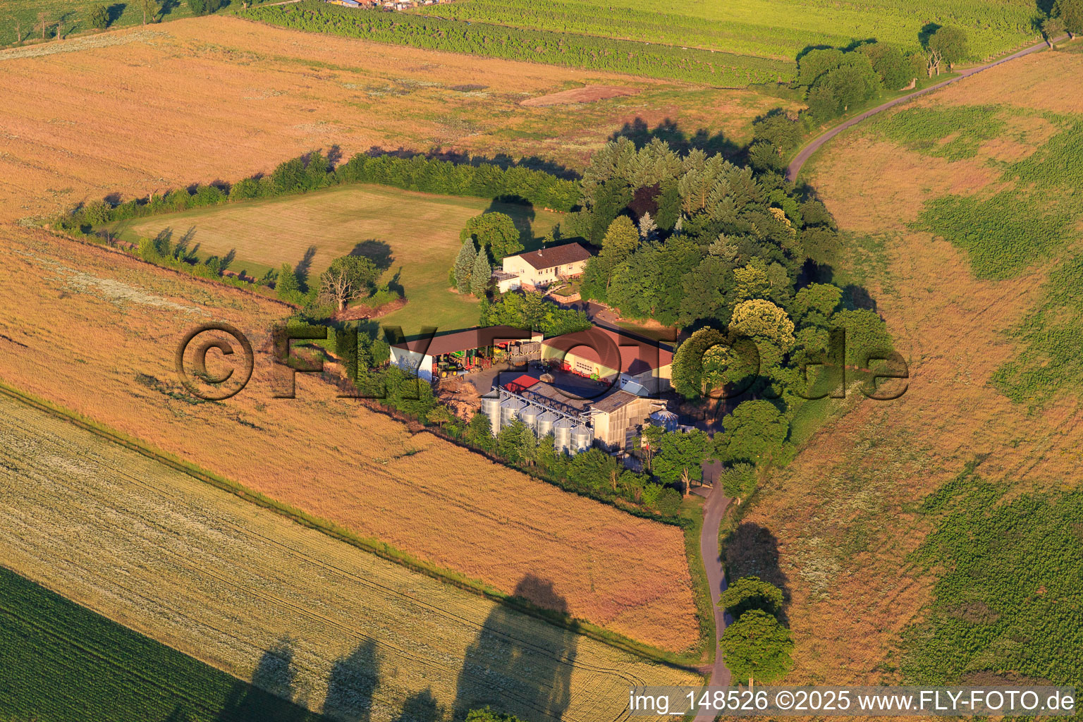 Luftbild von Aussiedlerhof in Dörrenbach im Bundesland Rheinland-Pfalz, Deutschland