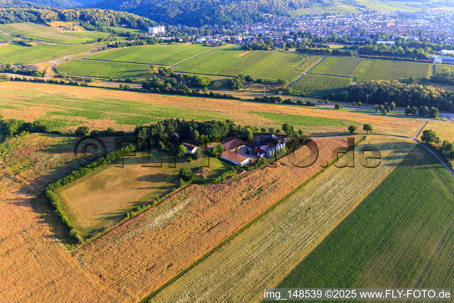 Schrägluftbild von Aussiedlerhof in Dörrenbach im Bundesland Rheinland-Pfalz, Deutschland
