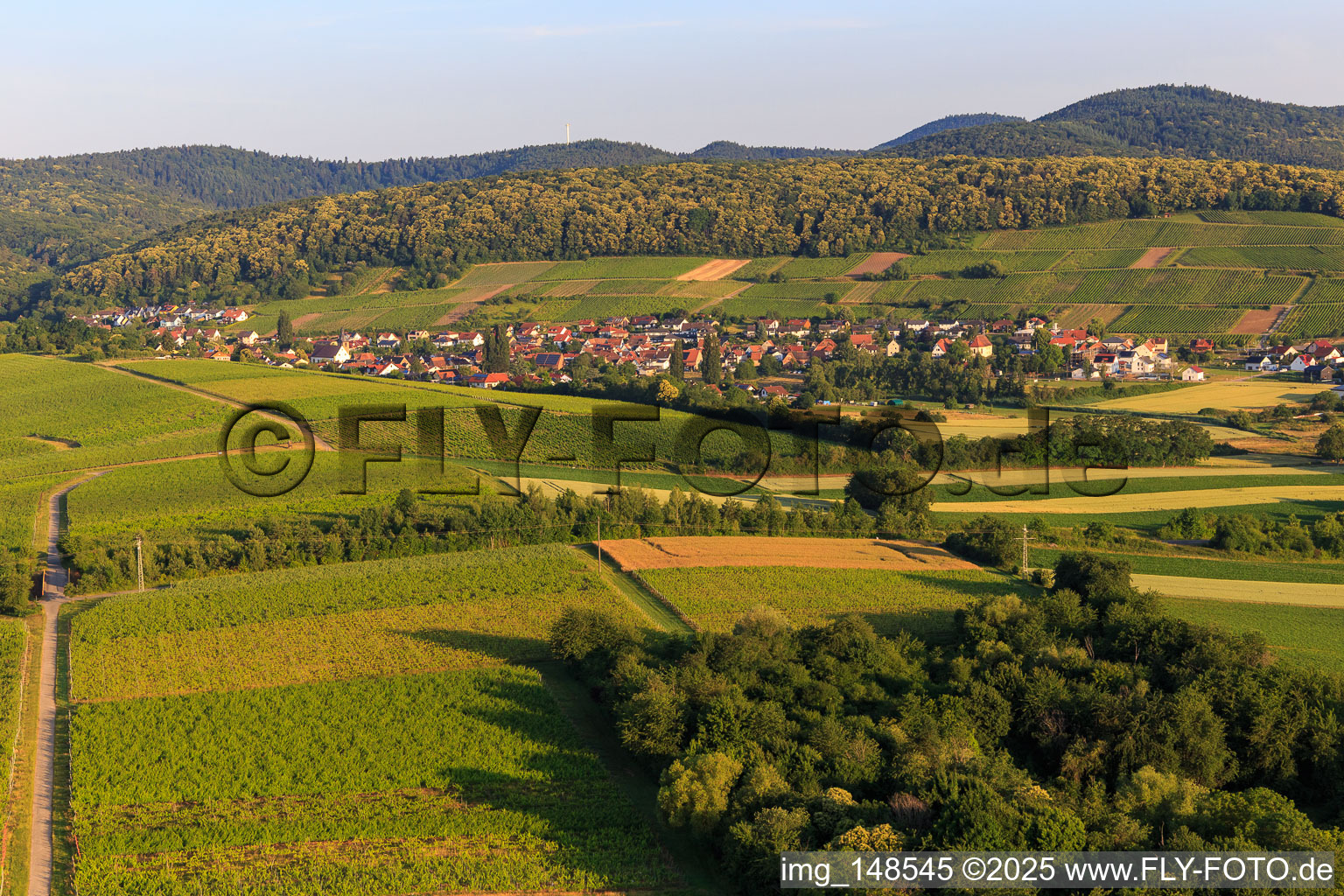 Weinort von Osten im Ortsteil Pleisweiler in Pleisweiler-Oberhofen im Bundesland Rheinland-Pfalz, Deutschland