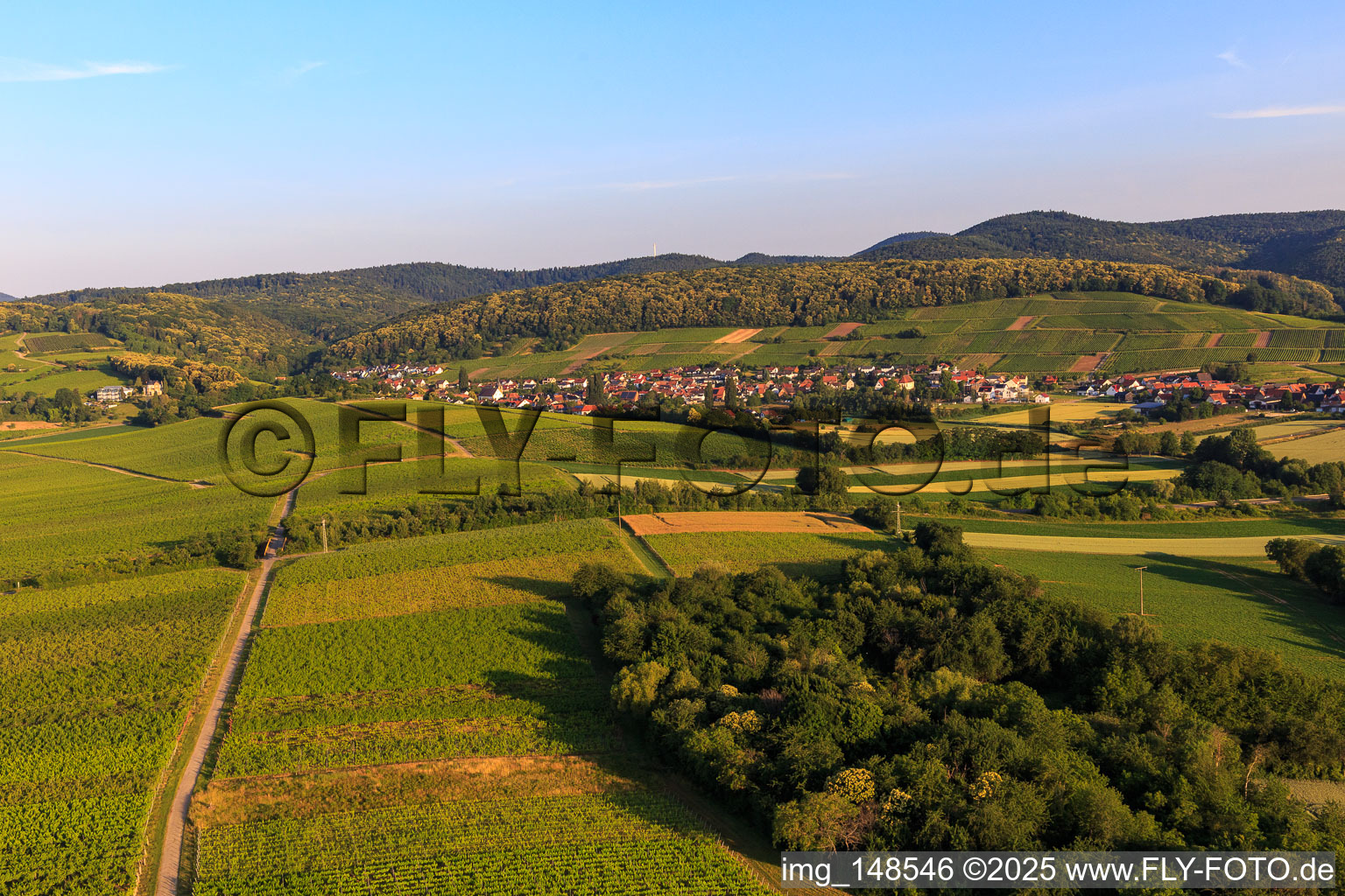Luftbild von Weinort von Osten im Ortsteil Pleisweiler in Pleisweiler-Oberhofen im Bundesland Rheinland-Pfalz, Deutschland
