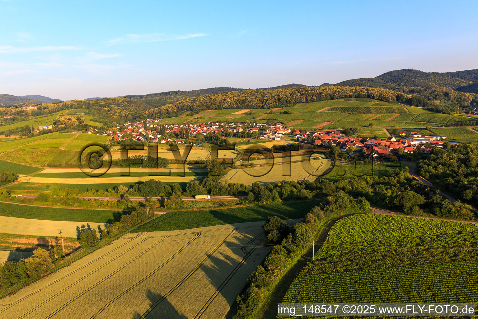 Weinort von Osten im Ortsteil Oberhofen in Pleisweiler-Oberhofen im Bundesland Rheinland-Pfalz, Deutschland