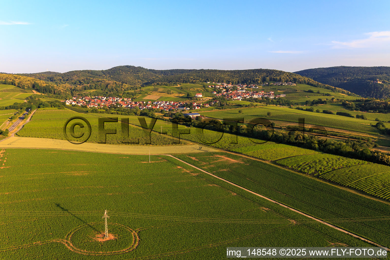 Weinort von Osten im Ortsteil Gleiszellen in Gleiszellen-Gleishorbach im Bundesland Rheinland-Pfalz, Deutschland