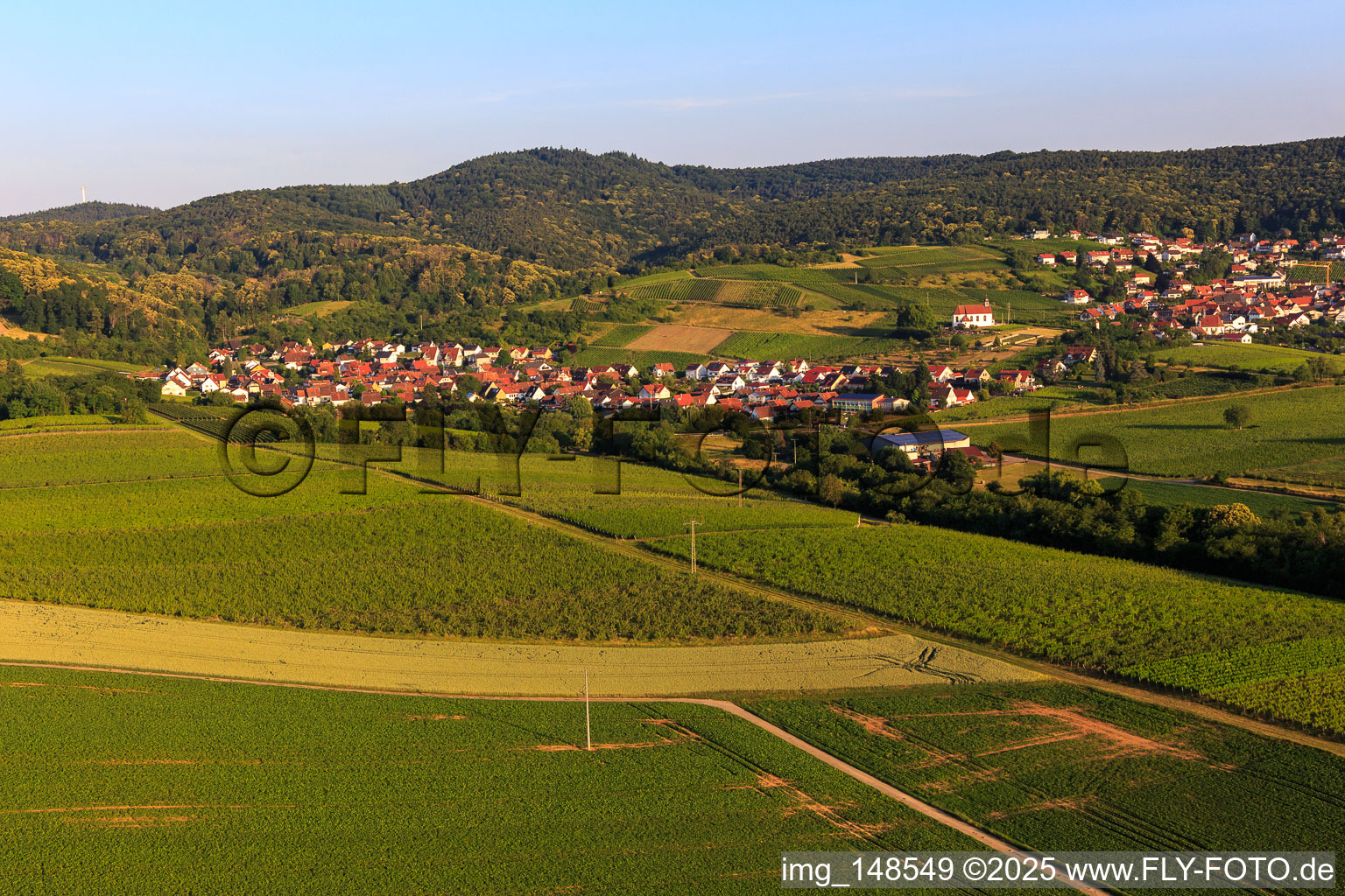 Weinort von Osten im Ortsteil Gleishorbach in Gleiszellen-Gleishorbach im Bundesland Rheinland-Pfalz, Deutschland