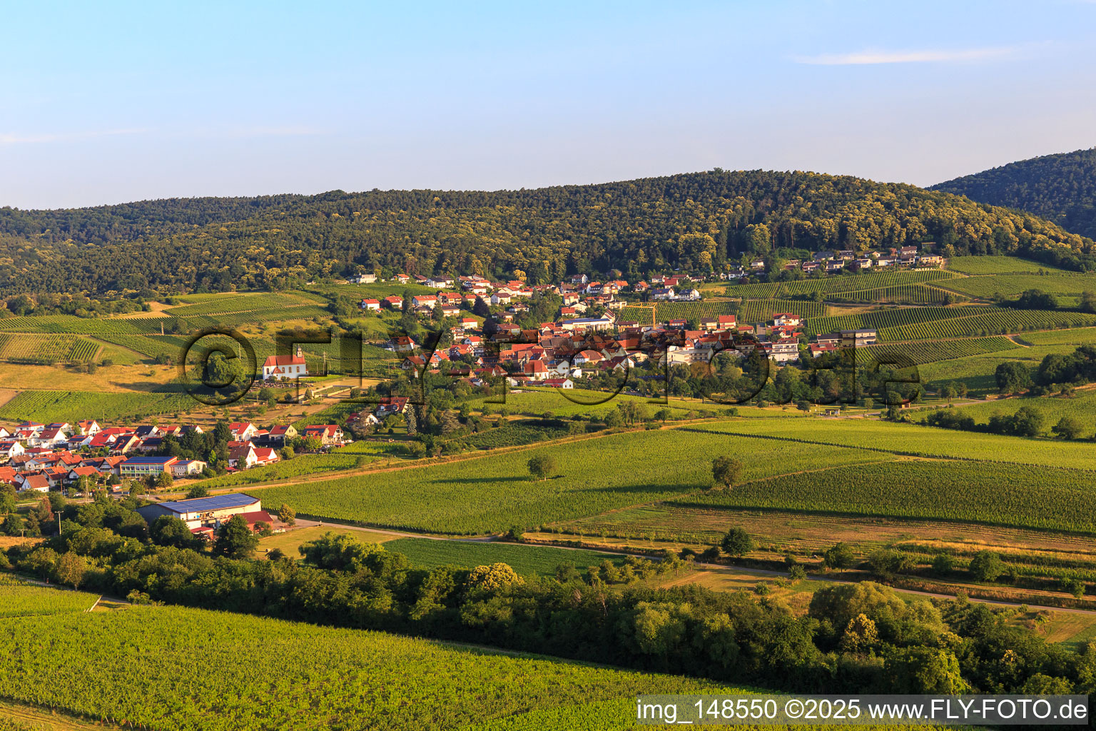 Luftbild von Weinort von Osten im Ortsteil Gleiszellen in Gleiszellen-Gleishorbach im Bundesland Rheinland-Pfalz, Deutschland
