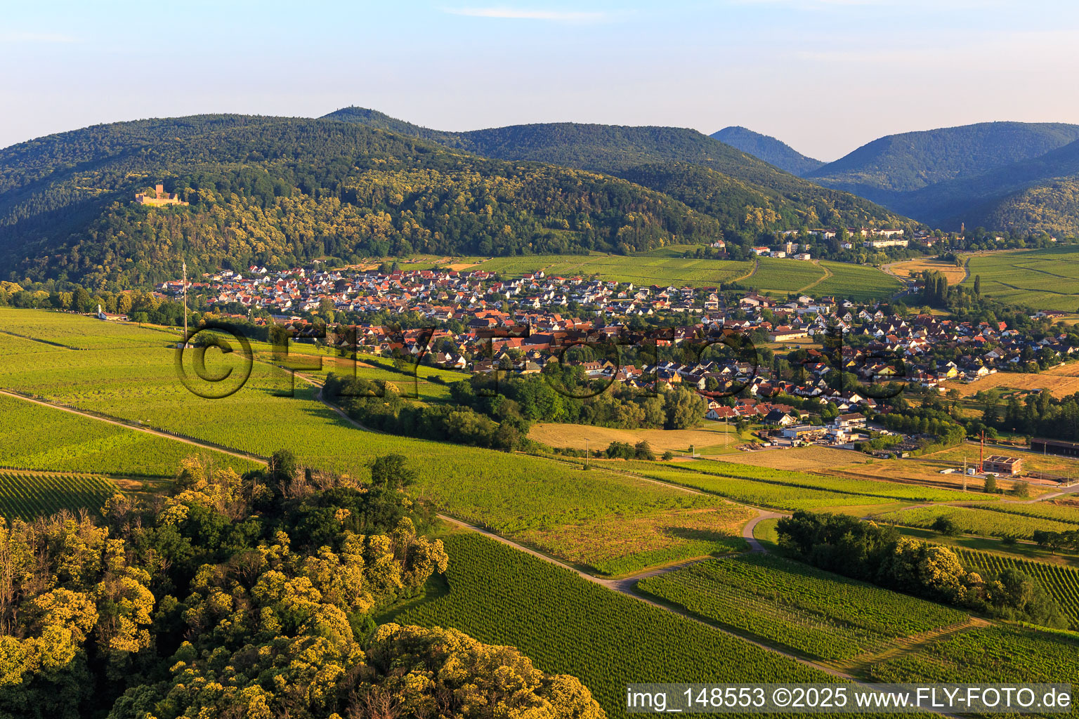 Weinort von Osten in Klingenmünster im Bundesland Rheinland-Pfalz, Deutschland