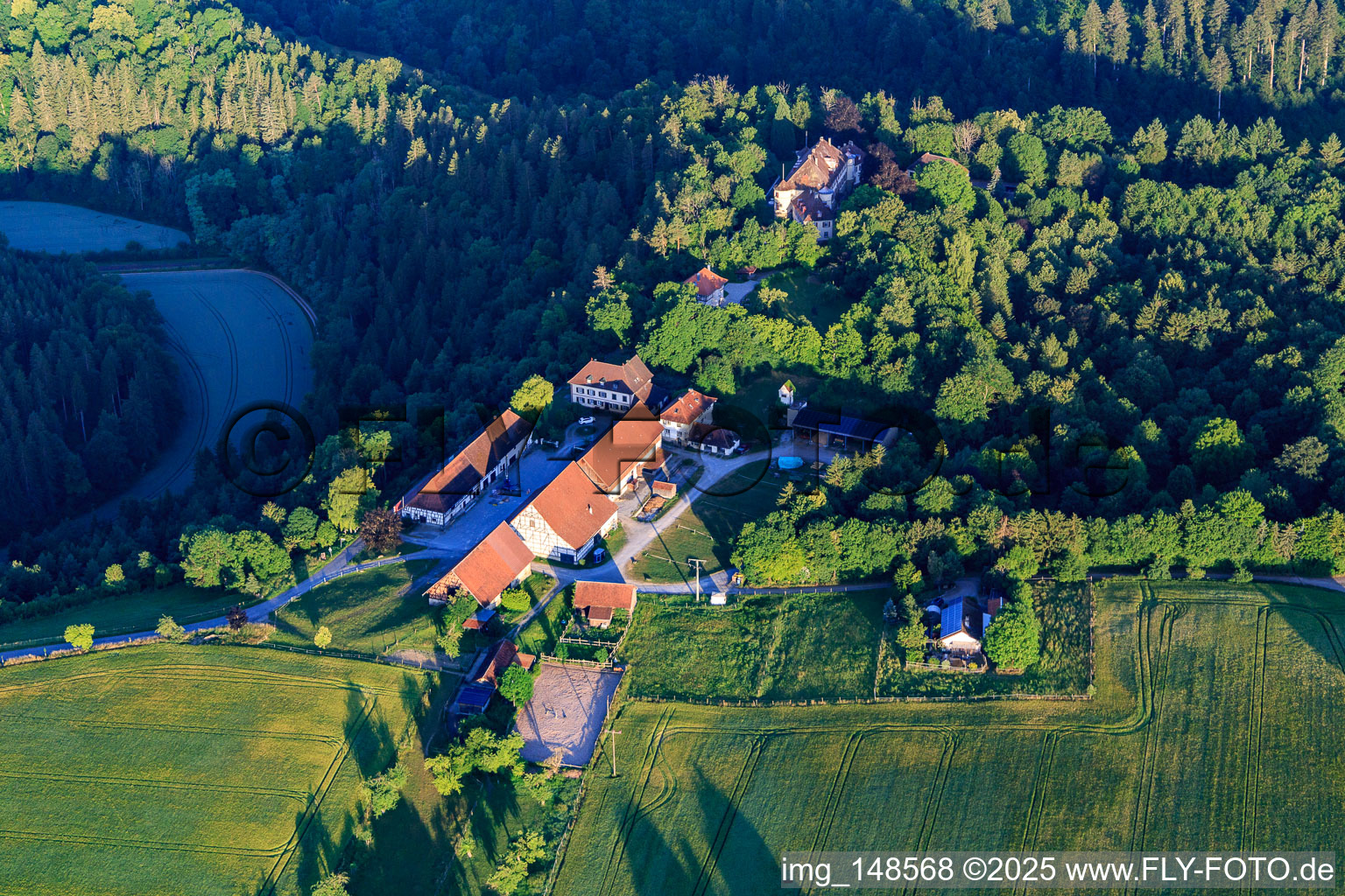 Schloss Hohenstein und Franz Graf von Bissingen in Dietingen im Bundesland Baden-Württemberg, Deutschland