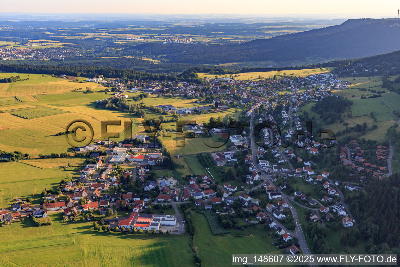 Ortsansicht aus Süden im Ortsteil Delkhofen in Deilingen im Bundesland Baden-Württemberg, Deutschland