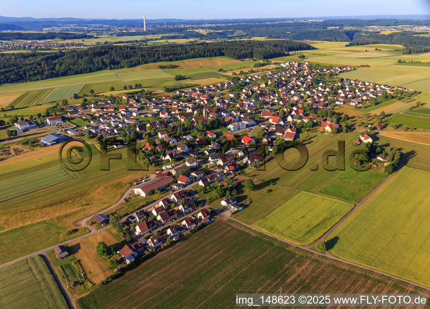 Dorfansicht von Norden im Ortsteil Irslingen in Dietingen im Bundesland Baden-Württemberg, Deutschland