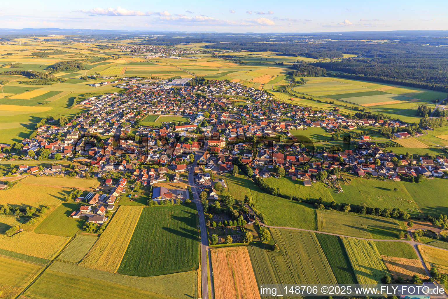 Ortsansicht aus Norden im Ortsteil Seedorf in Dunningen im Bundesland Baden-Württemberg, Deutschland
