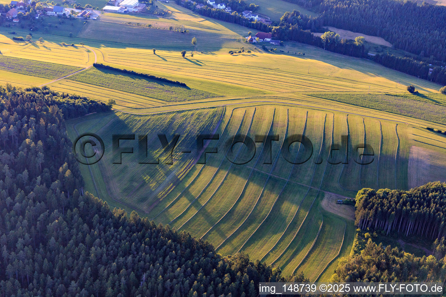 Luftbild von Gemähte Matten (Wiesen) im Schwarzwald am Abend in Niedereschach im Bundesland Baden-Württemberg, Deutschland