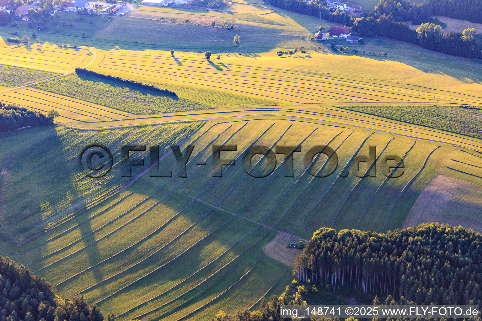 Luftaufnahme von Gemähte Matten (Wiesen) im Schwarzwald am Abend in Niedereschach im Bundesland Baden-Württemberg, Deutschland