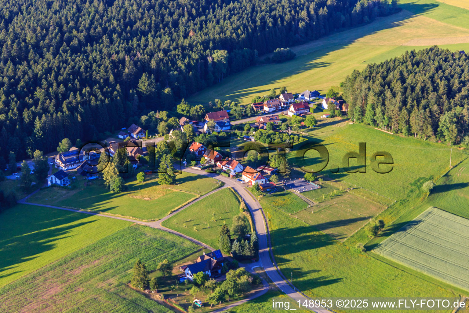 Ortsteil Aischfeld von Südwesten im Ortsteil Peterzell in Alpirsbach im Bundesland Baden-Württemberg, Deutschland