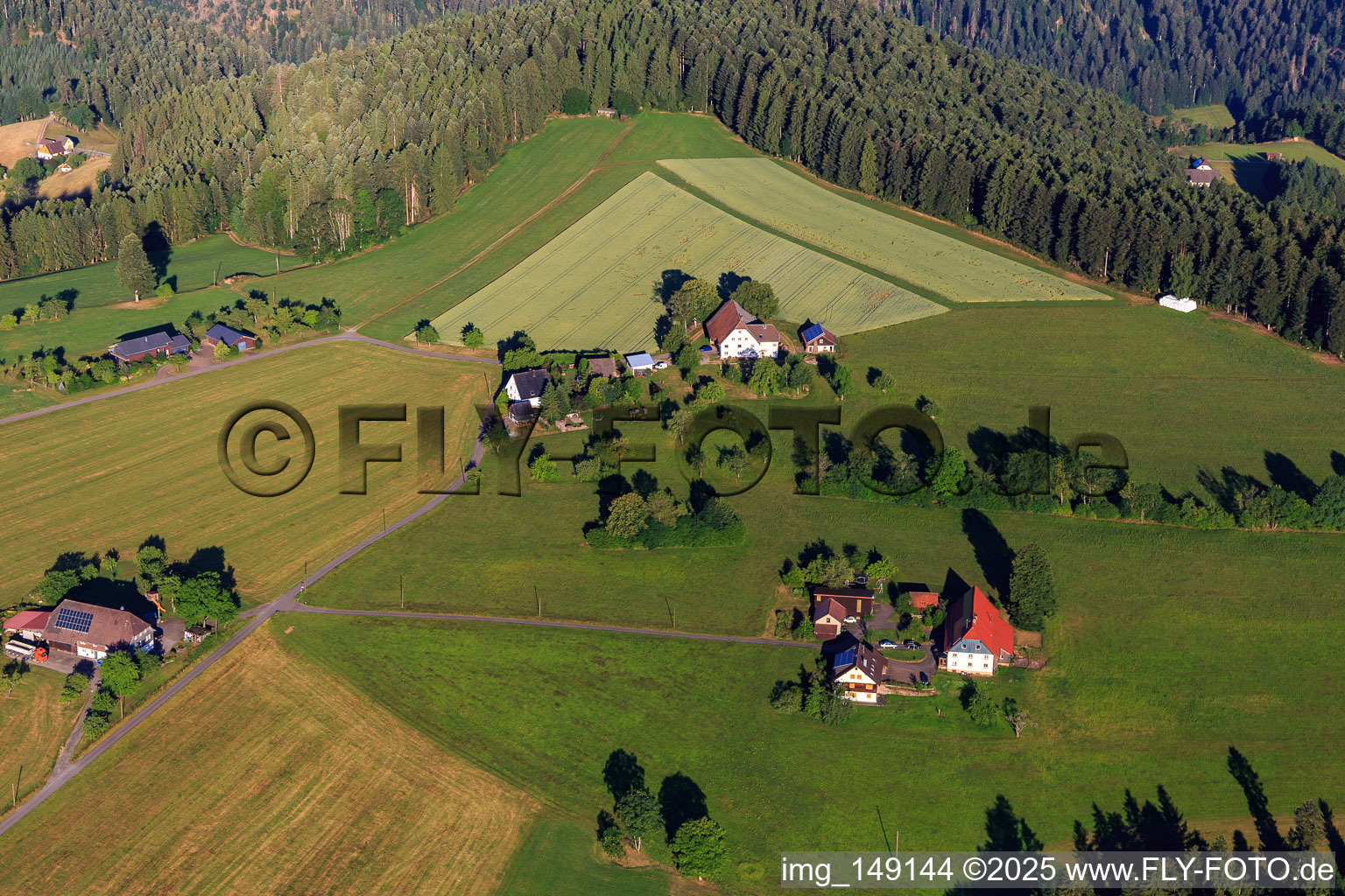Einzelne Höfe im Ortsteil Riesen im Ortsteil Rubstock in Aichhalden im Bundesland Baden-Württemberg, Deutschland