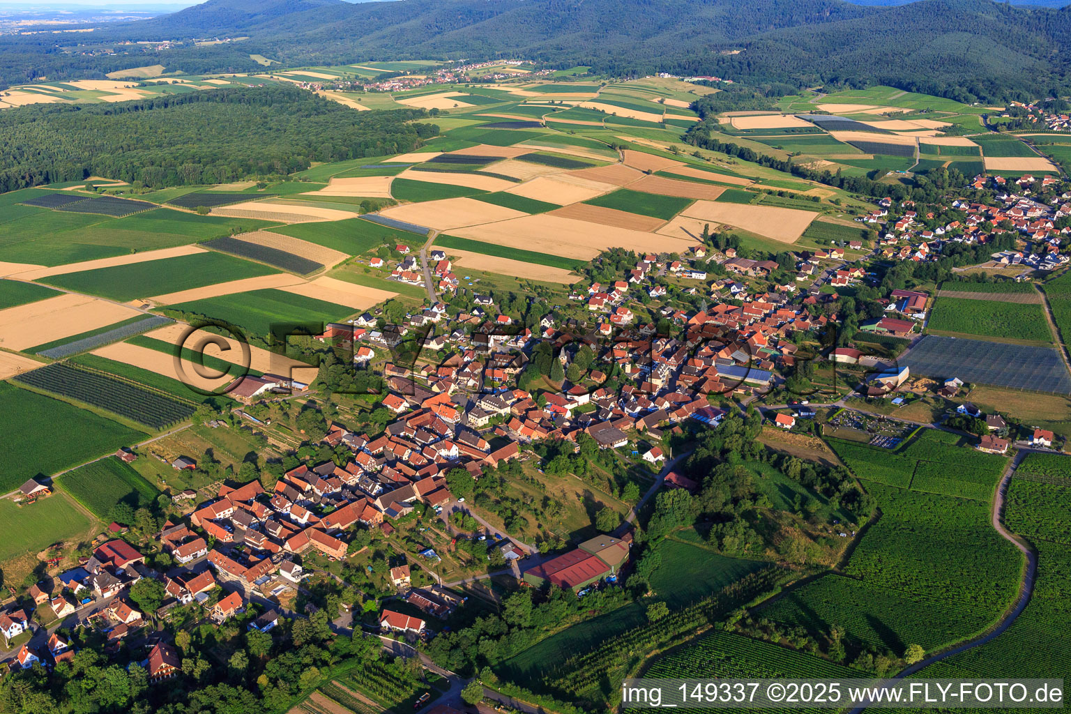 Ortsansicht aus Osten in Steinseltz im Bundesland Bas-Rhin, Frankreich