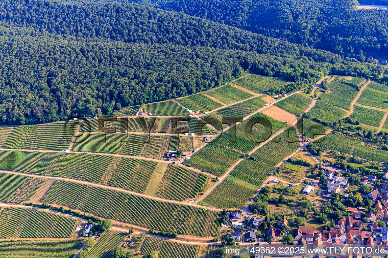 Probierstände im Weinberg für "Grenzenlos Wein". Deutsch-französische Weinevent mit Weinen unserer Winzer und des benachbarten Elsas sowie lulinarischen Köstlichkeiten hoch über dem Ort mit einem herrlichen Blick über die Rheinebene und ins benachbarte Wissembourg im Ortsteil Schweigen in Schweigen-Rechtenbach im Bundesland Rheinland-Pfalz, Deutschland