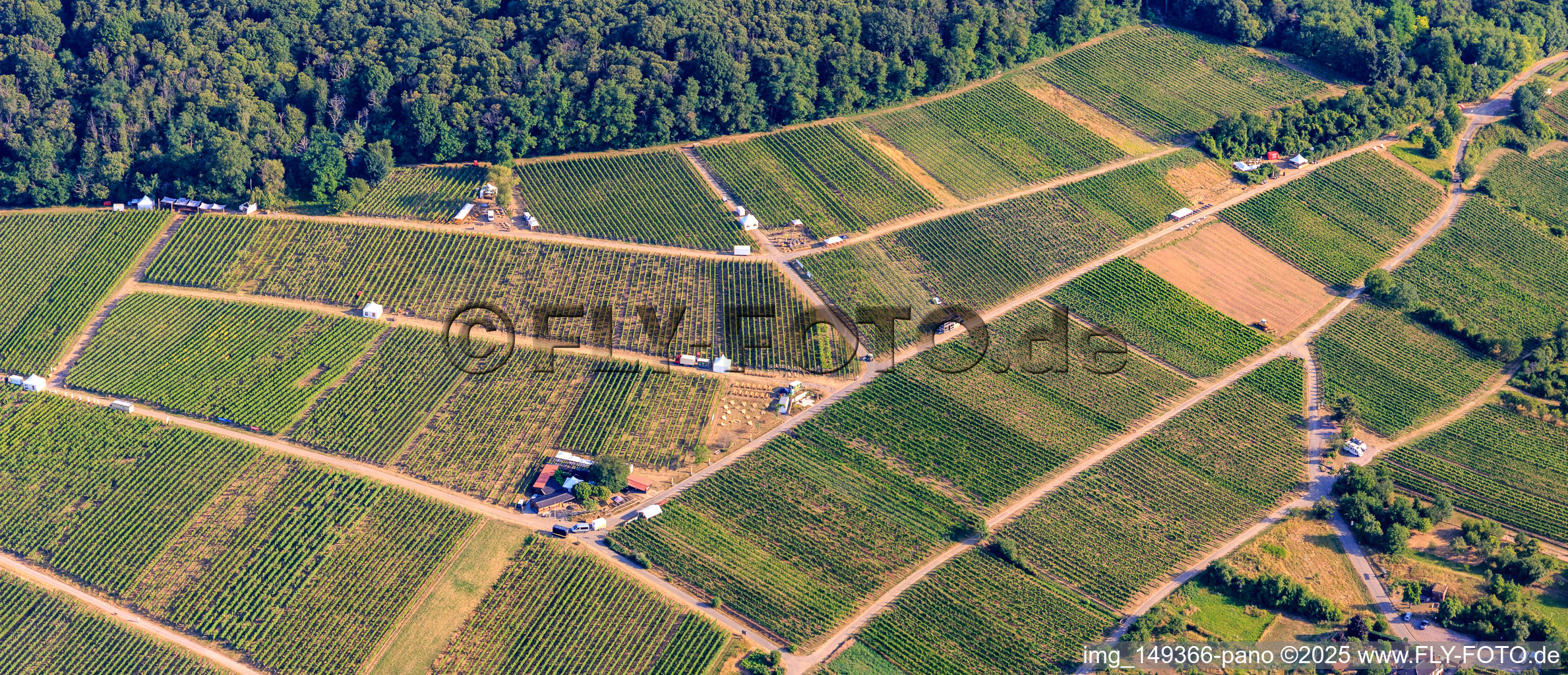 Luftaufnahme von Probierstände im Weinberg für "Grenzenlos Wein". Deutsch-französische Weinevent mit Weinen unserer Winzer und des benachbarten Elsas sowie lulinarischen Köstlichkeiten hoch über dem Ort mit einem herrlichen Blick über die Rheinebene und ins benachbarte Wissembourg im Ortsteil Schweigen in Schweigen-Rechtenbach im Bundesland Rheinland-Pfalz, Deutschland
