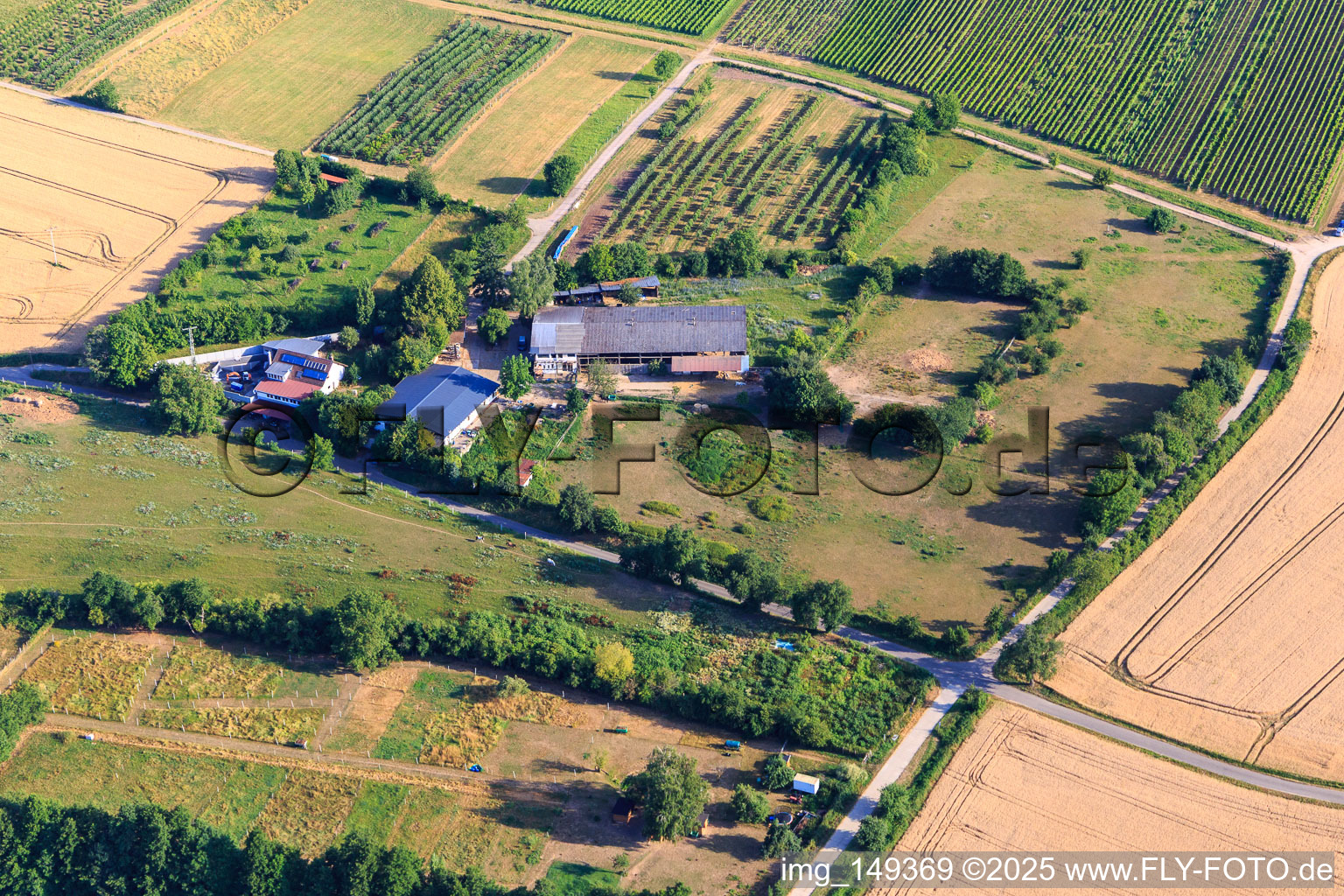 HEIDEBRUNNENHOF Vollblutaraberzucht und Islandpferde in Oberotterbach im Bundesland Rheinland-Pfalz, Deutschland