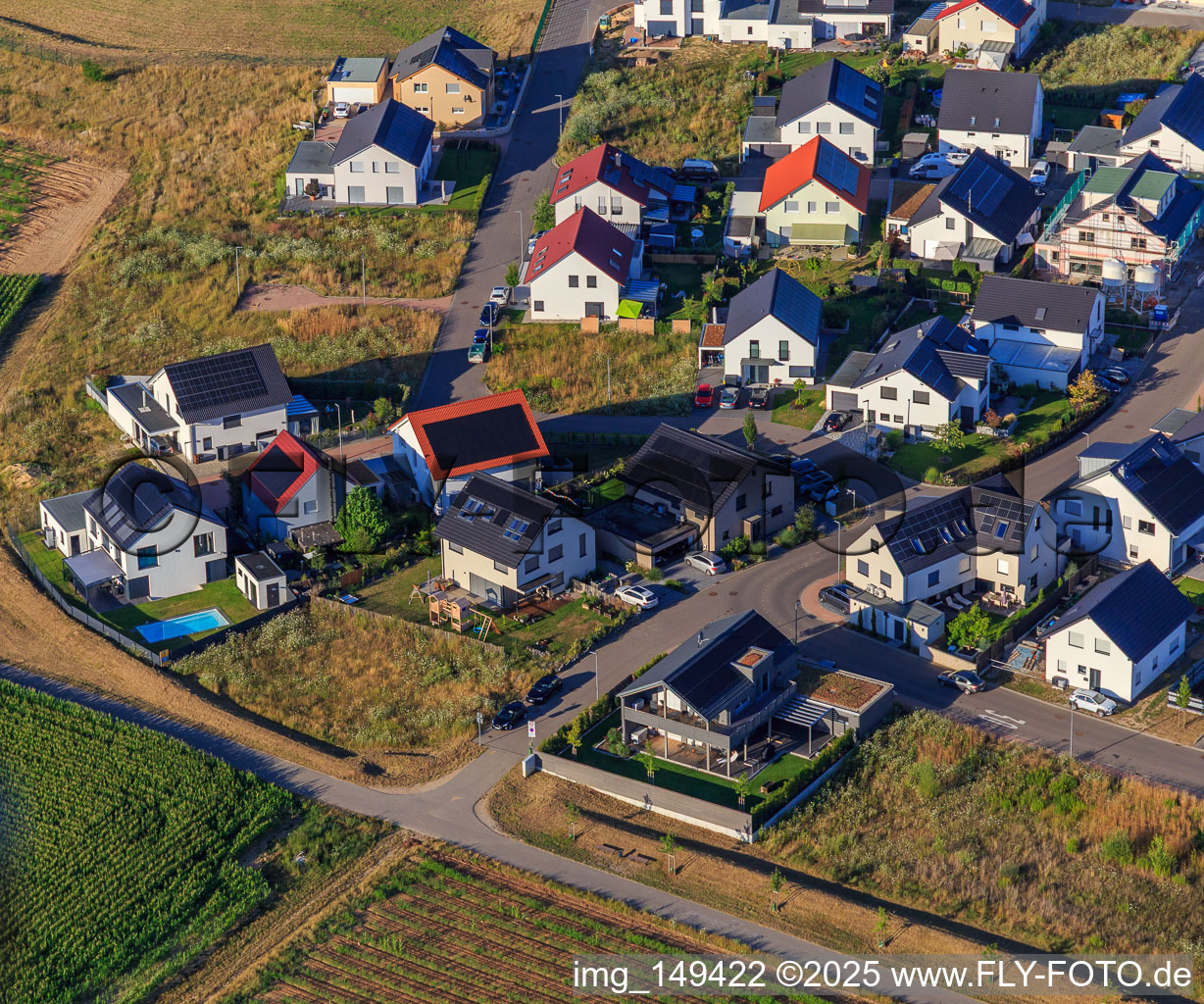 Luftaufnahme von Veilchenweg, Narzissenweg in Kandel im Bundesland Rheinland-Pfalz, Deutschland
