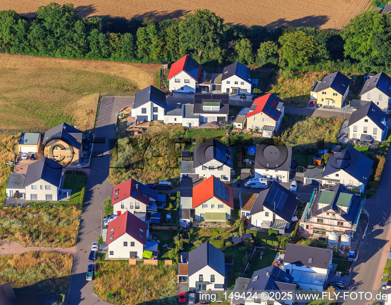 Narzissenweg in Kandel im Bundesland Rheinland-Pfalz, Deutschland aus der Luft